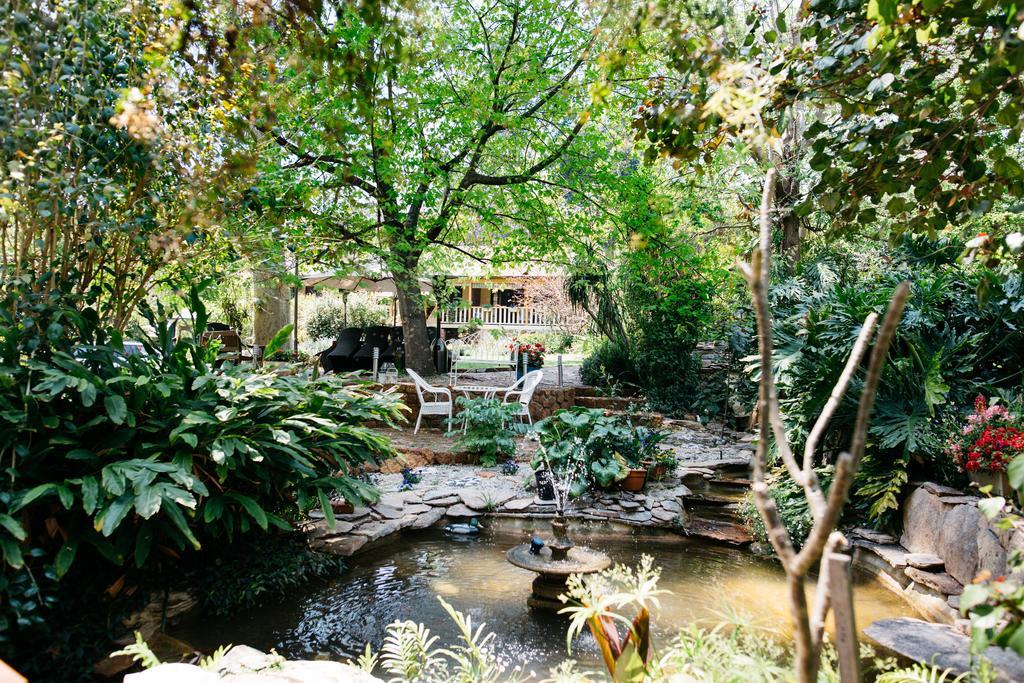 Possum Creek Lodge Gooseberry Hill Ngoại thất bức ảnh