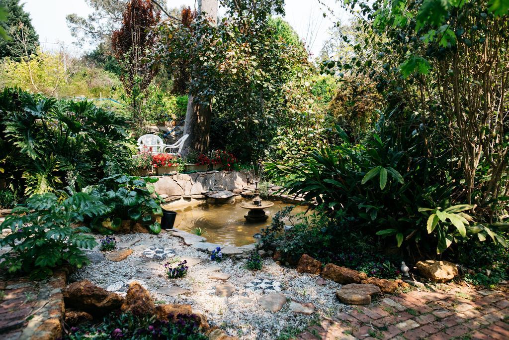 Possum Creek Lodge Gooseberry Hill Ngoại thất bức ảnh