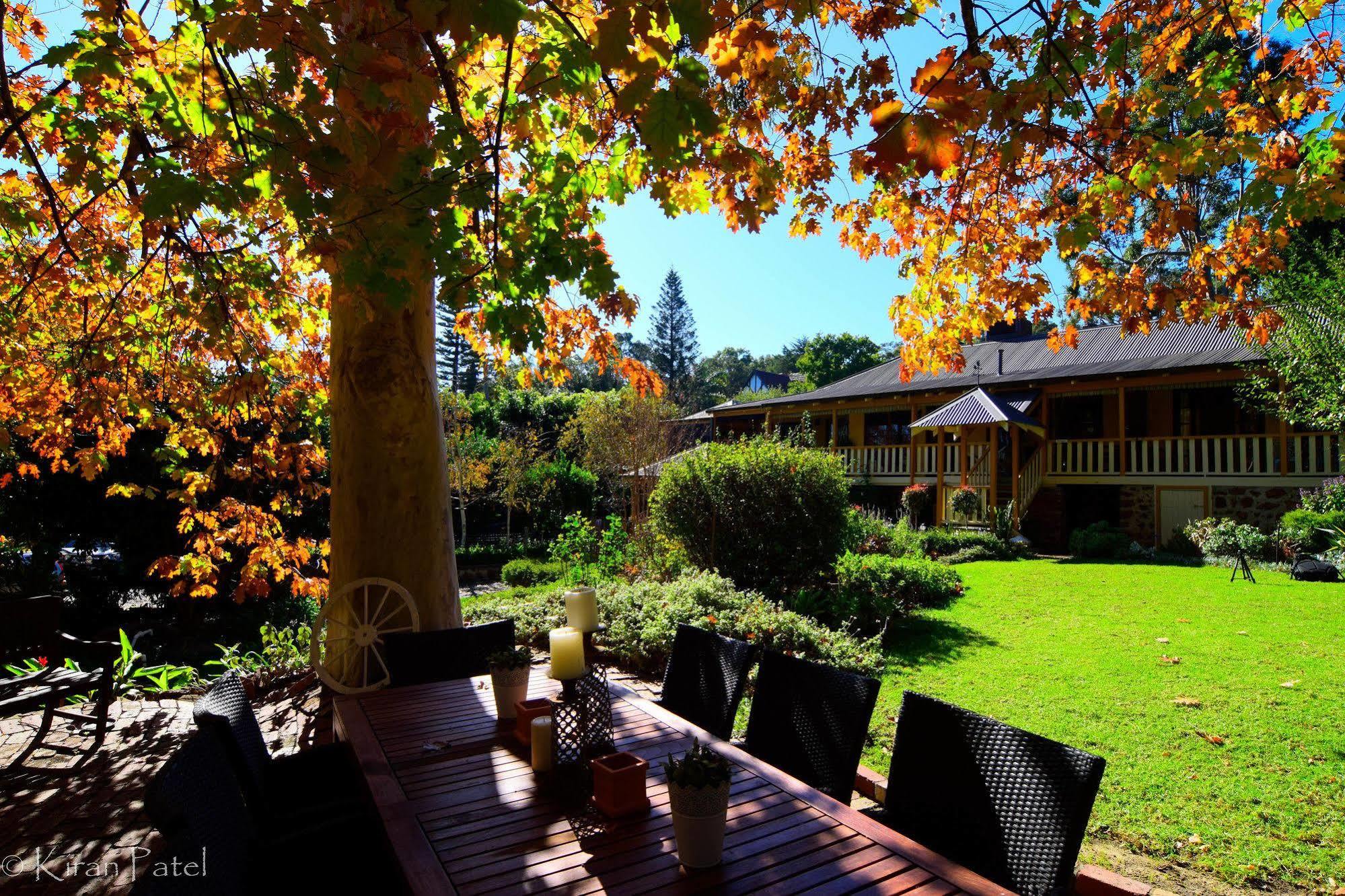 Possum Creek Lodge Gooseberry Hill Ngoại thất bức ảnh